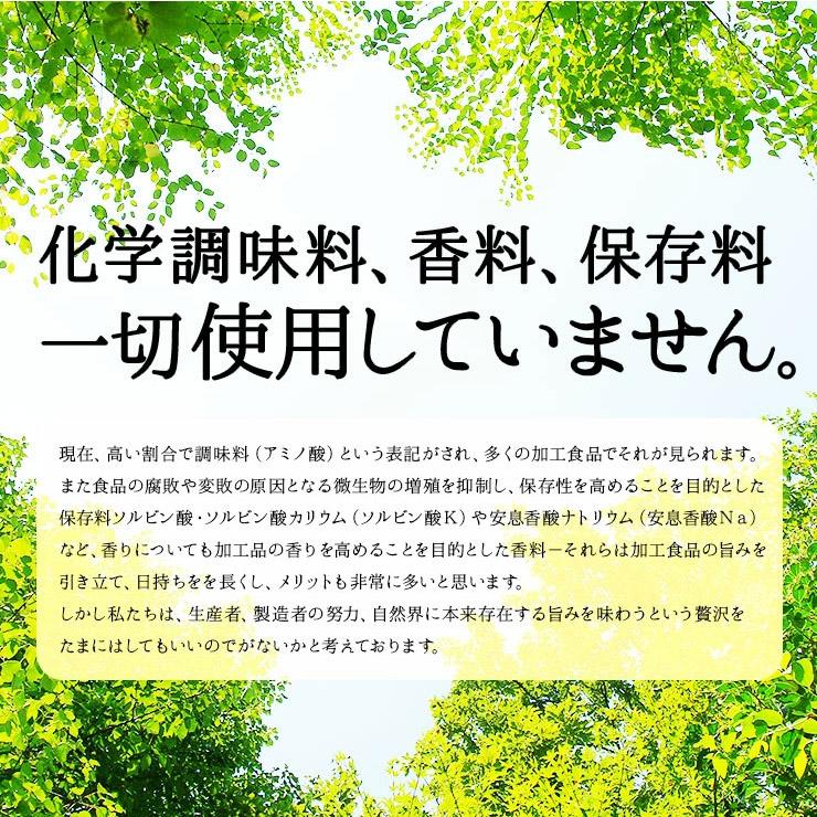 セール 食品 肉 おつまみ 国産牛すじ肉の炭火焼100g×3袋が1セット スジ肉 すじ肉 おつまみ お肉  食品 宮崎 レトルト 非常食・保存食 防災グッズ お試し