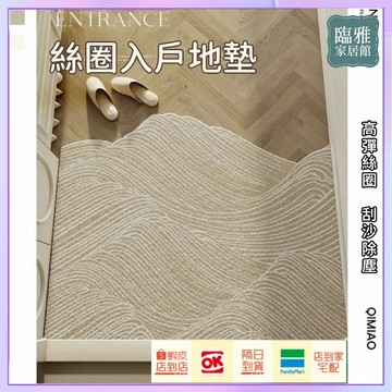 台灣出貨 絲圈地墊 刮泥地墊 刮灰 可客製尺寸 玄關地墊 門口墊 軟地墊 廚房地墊 入戶墊  奶油風
