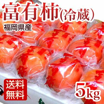 柿 冷蔵富有柿 5kg Lサイズ 21玉 冷蔵柿 秀品 贈答用 ふゆう柿 福岡産 ギフト