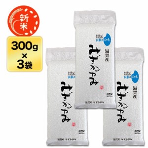 新米 令和5年(2023年) 産 滋賀産 みずかがみ 300g(2合) × 3パック 真空パック