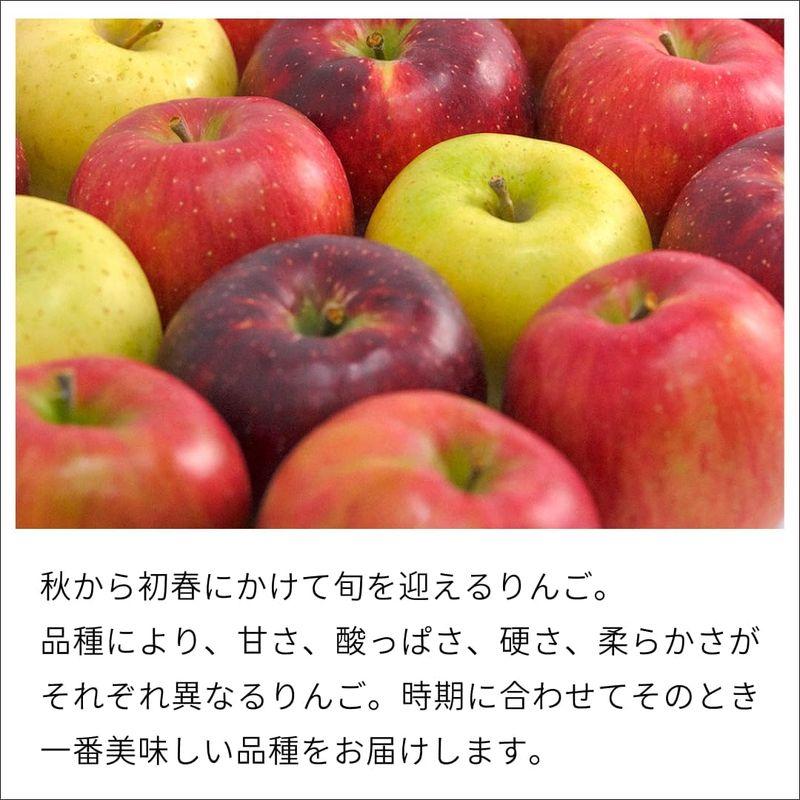 TOBIFRU りんご食べ比べ りんご 果物 贈り物 フルーツ ギフト 御祝 御見舞 内祝 誕生日 入学祝 卒業祝 入社祝 プレゼント 御供