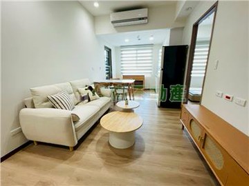 南法莊園霞慕尼2+1房+車位｜桃園市桃園區日光路