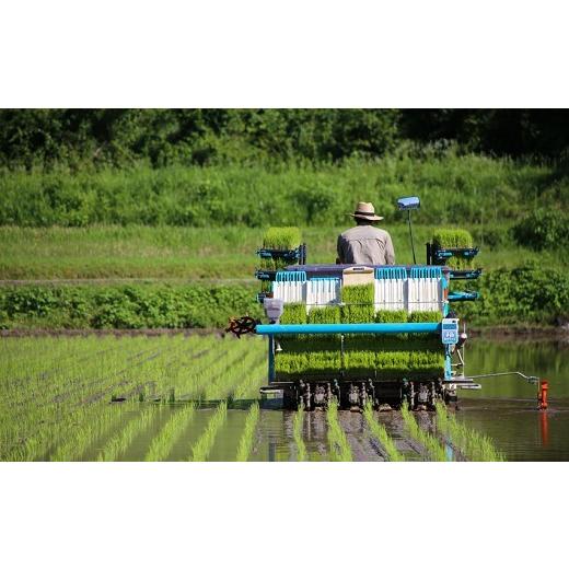 ふるさと納税 熊本県 南関町 K01-2特別栽培米 玄米 24kg