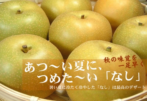 V7254_ 和歌山の梨（なし）幸水品種 約４kg
