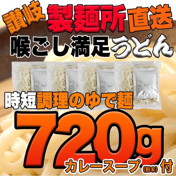 ゆうパケット発送讃岐の製麺所が作る、辛すぎないスパイシーなカレーうどん4食(180g×4)