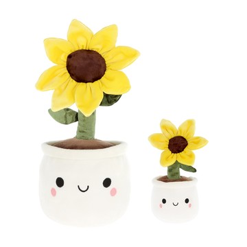 Flower Bobballs Sunflower 向日葵盆栽