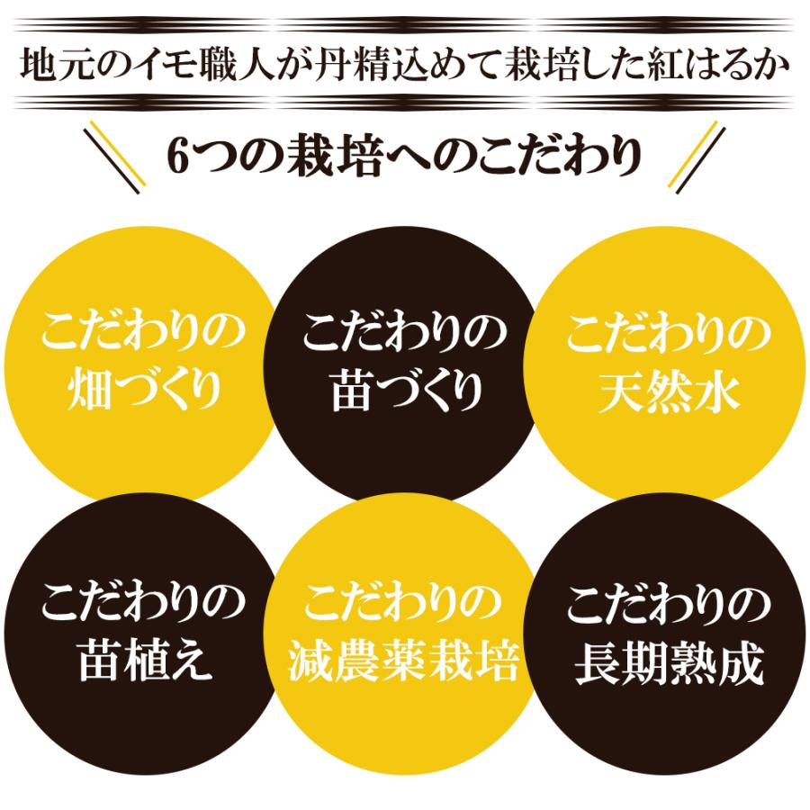 焼き芋 さつまいも 紅はるか 2kg サツマイモ 冷凍焼き芋 焼きいも 産地直送 薩摩芋 石焼き芋 芋 いも イモ 鹿児島県産 FJK-004