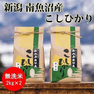 ふるさと納税 南魚沼産コシヒカリ(無洗米2kg×2袋)を全3回 新潟県南魚沼市