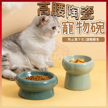 免運熱賣🤞高腳碗 護頸碗 架高碗 飼料碗 防溢食 寵物碗 貓咪陶瓷碗 貓碗 寵物陶瓷碗 貓咪水碗 陶瓷護頸貓碗 貓糧碗