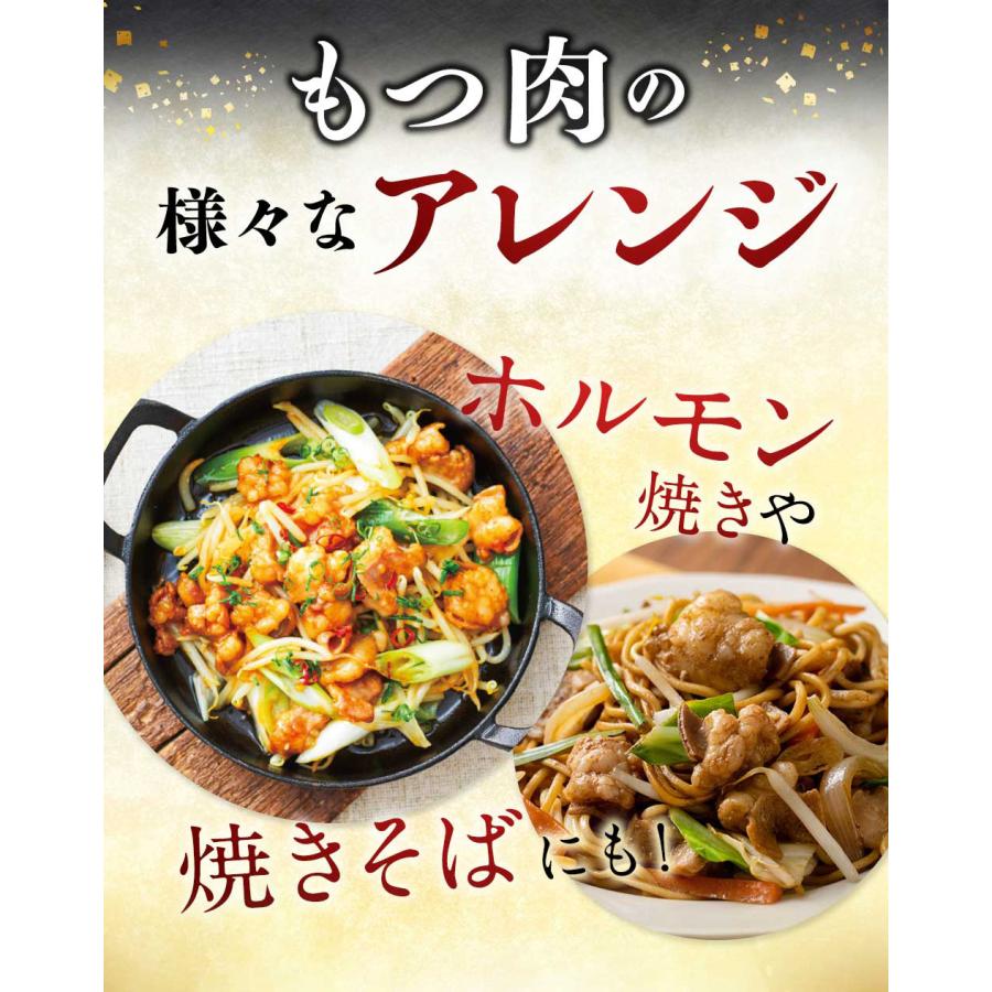 やまや 国産もつ肉300g(追加もつ肉)(九州 お取り寄せ グルメ おつまみ ご飯のお供 手土産 ギフト)