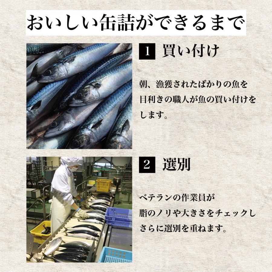 木の屋 いわし味噌煮・醤油味付けセット（170g×8缶）常温 宮城 缶詰 ギフト 母の日 父の日 敬老の日