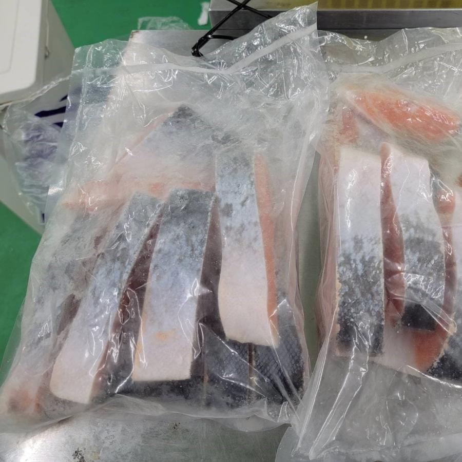 約1Kg 厚切り銀鮭(半身) 脂の乗った大ぶり鮭 焼鮭 サーモン 魚 切身 ギフト プレゼント おすすめ