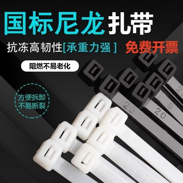 🚀台灣出貨🚀全新國家標準尼龍束帶綁帶，3*100、4*200、5*300、8*400系列黑白帶