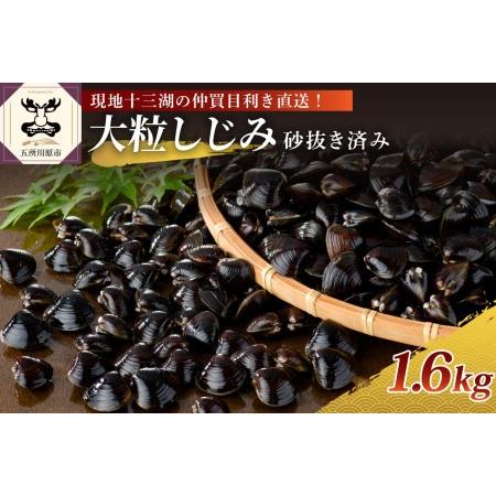 ふるさと納税 しじみ　津軽十三湖産大粒しじみ1.6kg（冷凍・砂抜き済） 青森県五所川原市