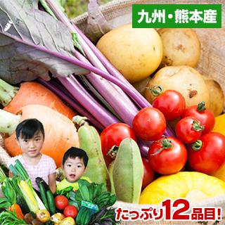 自家用 野菜セット たっぷり12品目 送料無料 熊本 九州 の安心安全 旬野菜 7-14営業日以内に出荷予定(土日祝日除く)