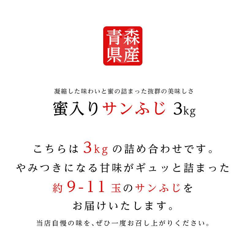 送料無料 青森県産蜜入りサンふじ9-11玉 約3kg りんご 3kg 蜜入りりんご 蜜りんご