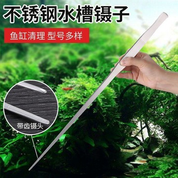 ✨桃園出貨💎不銹鋼鑷子(萬用夾.水草夾) 餵食夾 水族裝飾水草栽種不鏽鋼鑷子直頭彎頭加長水草鑷子多肉夾子茶夾手工魚缸工具