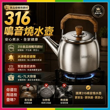 隔日🔥現貨免運🚀316L不銹鋼燒水壺 大容量食品級笛音壺 大容量水壺 燒水壺 煮水壺 茶壺 水壺 大口徑長嘴燒水壺預購