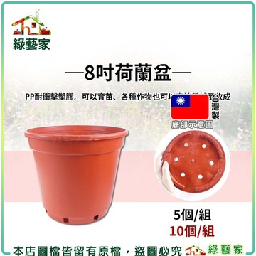 【綠藝家】8吋荷蘭盆、栽培盆-5個/組.10個/組※賣場另有其他尺寸※紅盆 種植盆 花盆 塑膠花盆 蔬菜盆 育