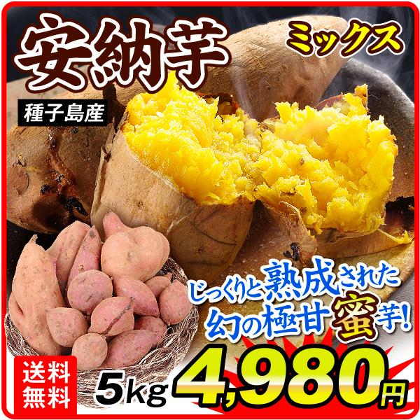 さつまいも 5kg 安納芋ミックス 種子島産 ご家庭用 送料無料 食品