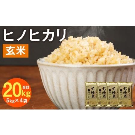 ふるさと納税 熊本県菊池産 ヒノヒカリ 5kg×4袋 計20kg 玄米 米 お米 令和4年産 熊本県菊池市