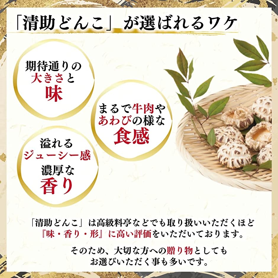 原椎茸 プレミアム 化粧箱入り 干し椎茸 100g 贈答用 ギフト 国産 伊豆産 肉厚 乾燥しいたけ