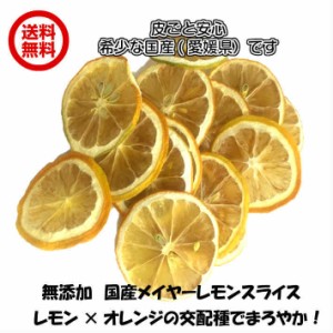 無添加メイヤーレモンスライス 輪切りスライス 砂糖不使用 ドライフルーツ 送料無料（国メイヤー20g×2P　FSY）ドライレモン フォンダン