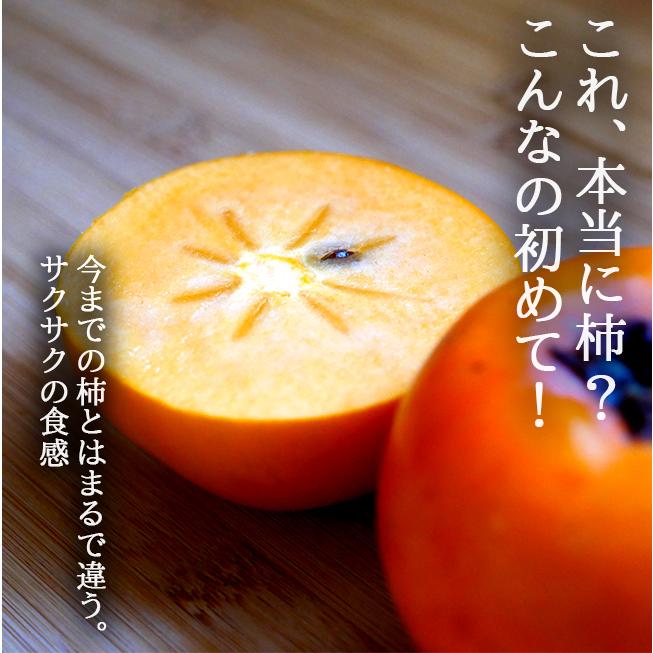 柿 太秋柿 10kg サクサク食感 無農薬 和歌山 農家直送