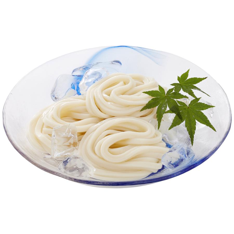 中里商店 桐生うどんの里 桐生うどん 麺のみ10袋入り(270g×10)