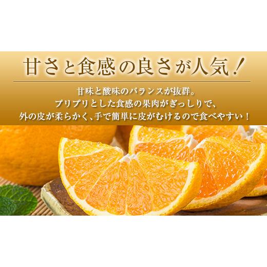 ふるさと納税 宮崎県 ◇宮崎県産 不知火（しらぬい） 約3kg（8〜12玉入）