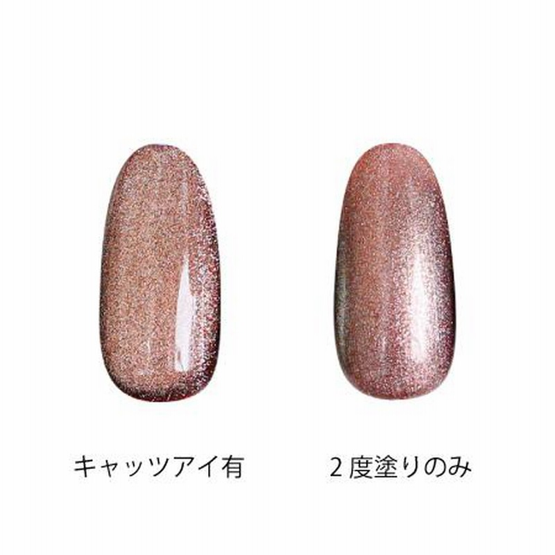 ICE GEL アイスジェル スターギャラクシー マグネットジェル ICEGEL