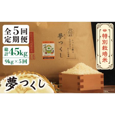 ふるさと納税 特別栽培米 夢つくし 9kg 《築上町》 米 白米 お米 [ABAU031] 福岡県築上町