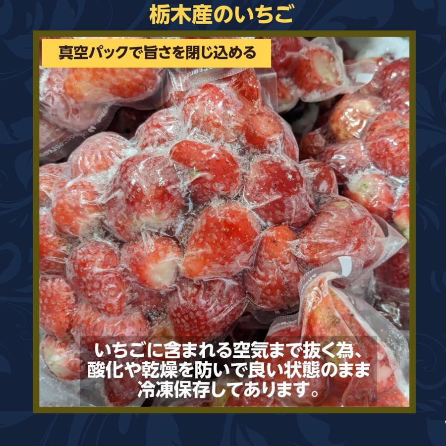 いちご 冷凍いちご 家庭用 5kg 500g×10袋 栃木県産 イチゴ 苺 いちご 完熟  国産 業務用