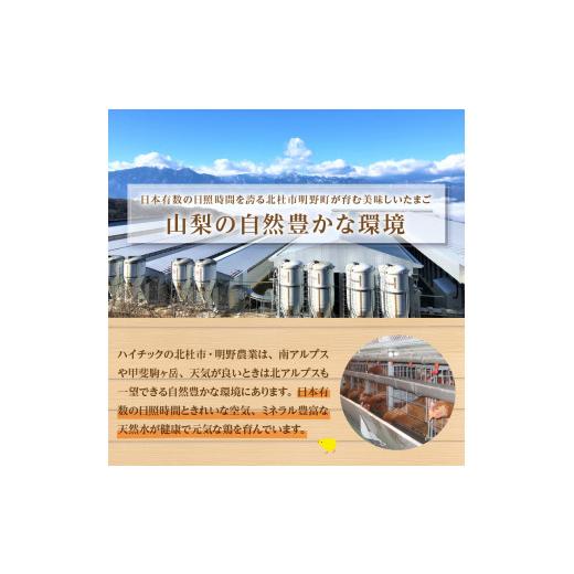 ふるさと納税 山梨県 北杜市 水の恵み小卵