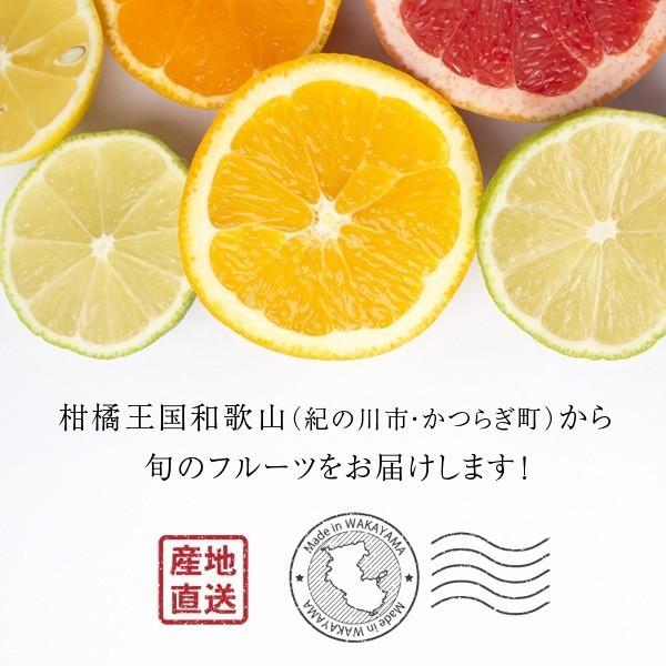 和歌山より産地直送 ちっちゃいキウイ 約1kg■期日指定不可・発送翌日受取限定：お届け時間帯にご注意ください■