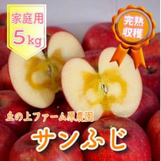 丘の上ファーム原農園の「サンふじ」家庭用約5kg(12～20玉)