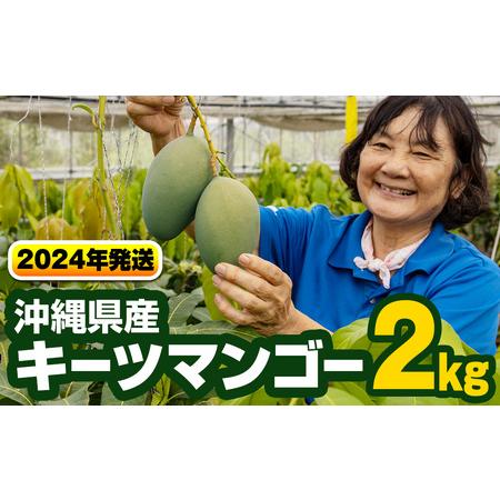 ふるさと納税 沖縄県産キーツマンゴー2kg 沖縄県南風原町