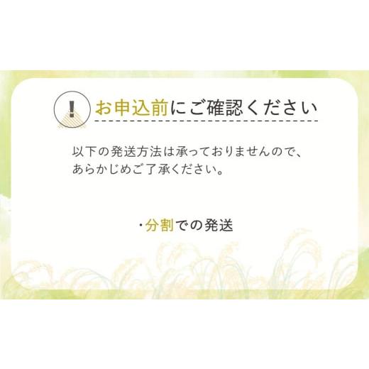 ふるさと納税 山形県 尾花沢市 令和5年産 玄米 雪若丸 30kg 2月下旬発送  ja-ywgxa30-2s