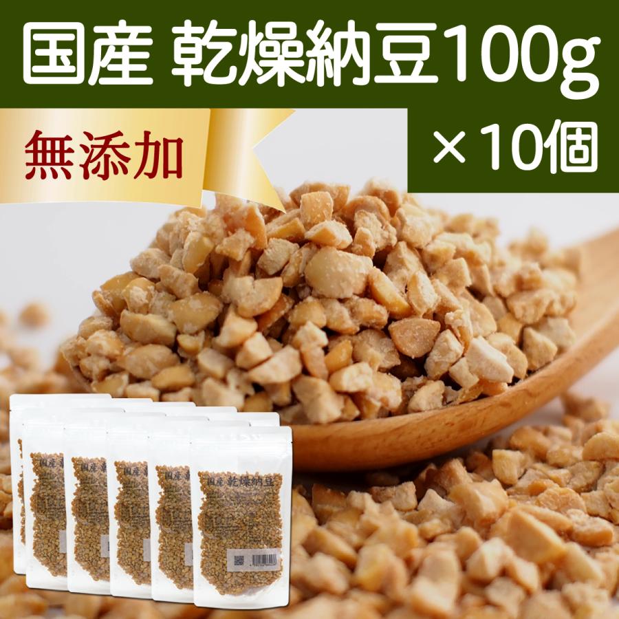 乾燥納豆 100g×10個 ドライ納豆 ひきわり納豆 無添加 犬 国産