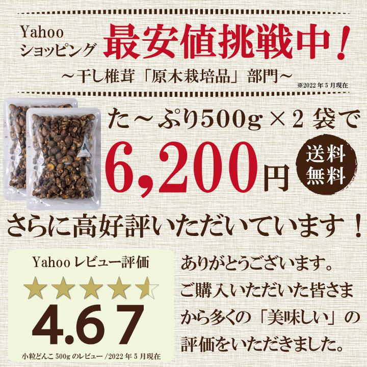 国内産訳あり小粒椎茸500ｇ×2　干し椎茸 国産 訳あり どんこ ワレ・カケあり 送料無料 最安値挑戦中