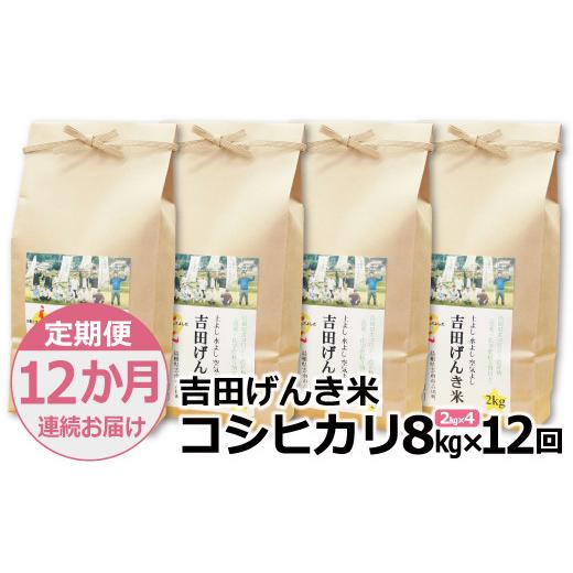 ふるさと納税 島根県 雲南市 「吉田げんき米」コシヒカリ8kg（2kg×4）【島根県産 雲南市産 ブランド米 米 お米 白米 コメ こめ お…