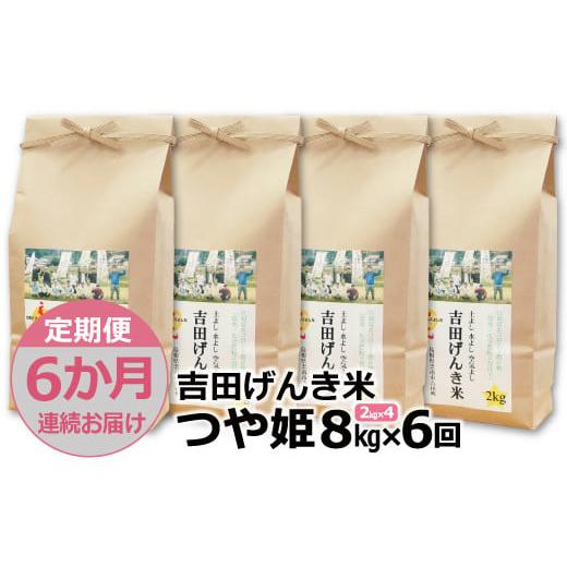 ふるさと納税 島根県 雲南市 「吉田げんき米」つや姫8kg（2kg×4）【島根県産 雲南市産 ブランド米 米 お米 白米 コメ こめ おこめ …