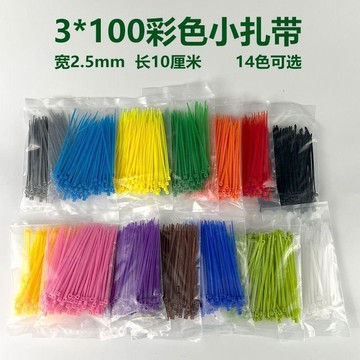 臺灣熱賣🔥🔥彩色紮帶 3x100 藍紅黃綠橙黑白小迷你塑料紮帶2.5mm寬10釐米長