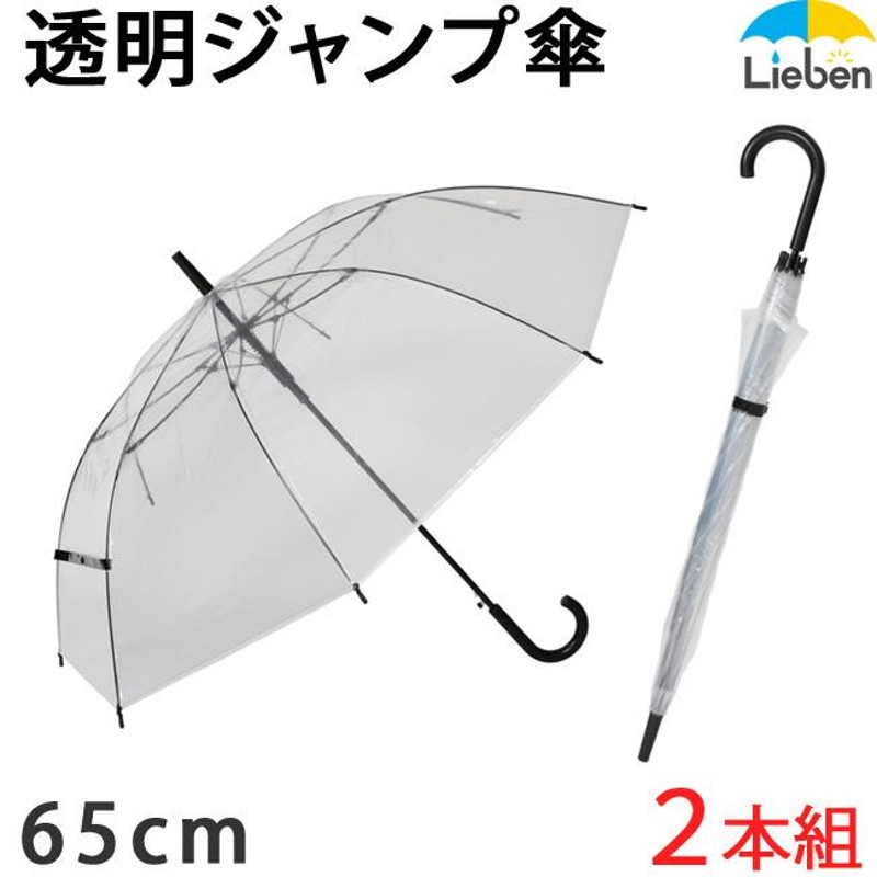 2本組) 傘 ビニール傘 メンズ レディース 親骨65cm 大きい傘 耐風