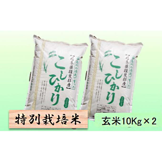 特別栽培米★玄米20kg 10Kg×2
