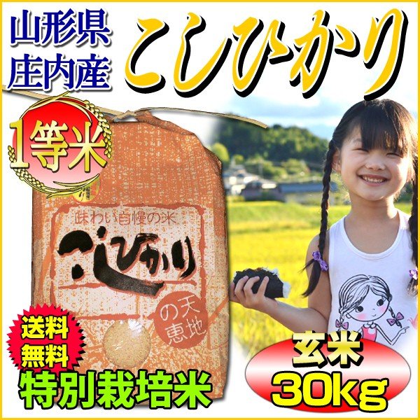 お米 コシヒカリ 玄米 30kg 山形県庄内産 一等米 特別栽培米 5kg×6袋 送料無料 令和4年産