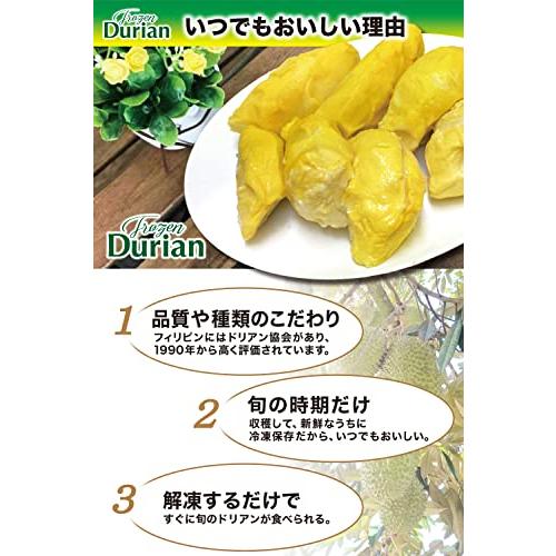 ユアーズライフ 高級ドリアン durian 榴? 500g HACCP認定 無添加 真空パック 人気 完熟 冷凍フルーツ 日本メーカー