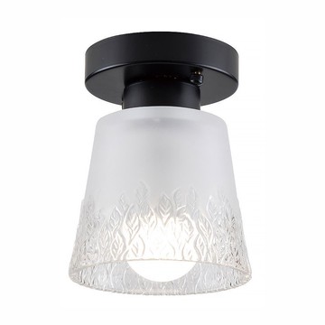 E27玻璃單吸頂燈 L12-56-61821