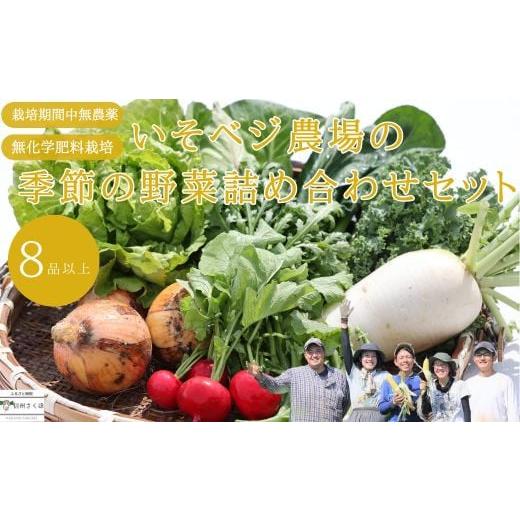 ふるさと納税 長野県 佐久穂町 いそベジ農場の季節の野菜詰め合わせセット〔IV-01〕