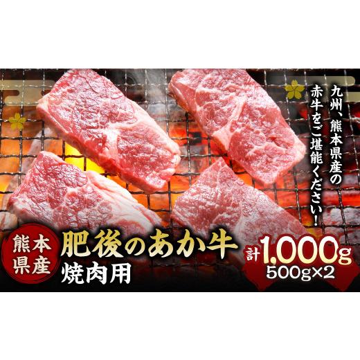 ふるさと納税 熊本県 水俣市 肥後のあか牛 焼肉用 1000ｇ 熊本県産和牛 G-6 牛肉